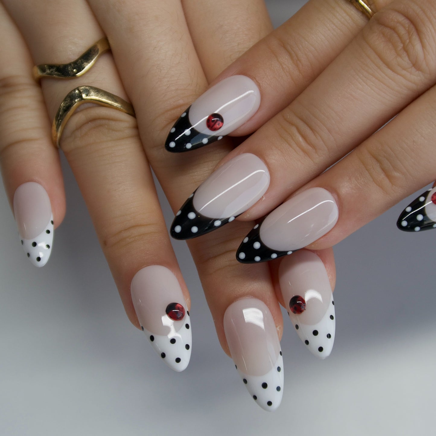 Ladybug